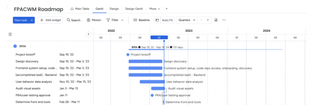 Screenshot of a program roadmap Gantt chart
